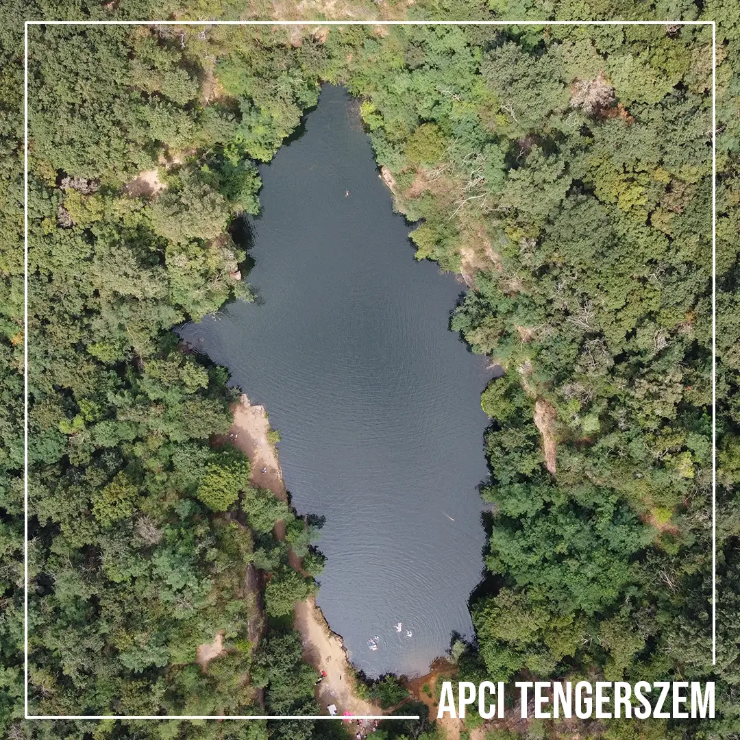 Apci tengerszem 